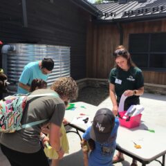 Wildlife Event Volunteer